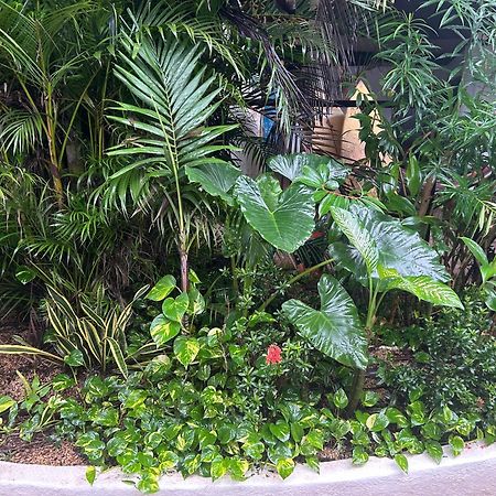 Pura Vida Hostel Тамариндо Екстериор снимка