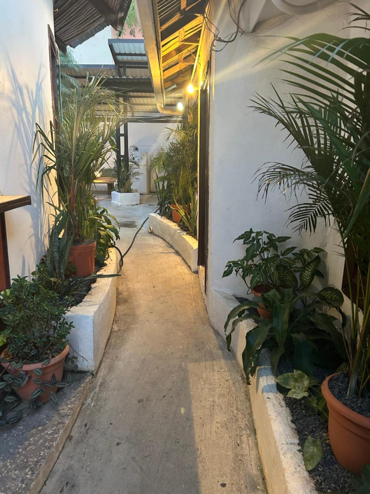 Pura Vida Hostel Тамариндо Екстериор снимка