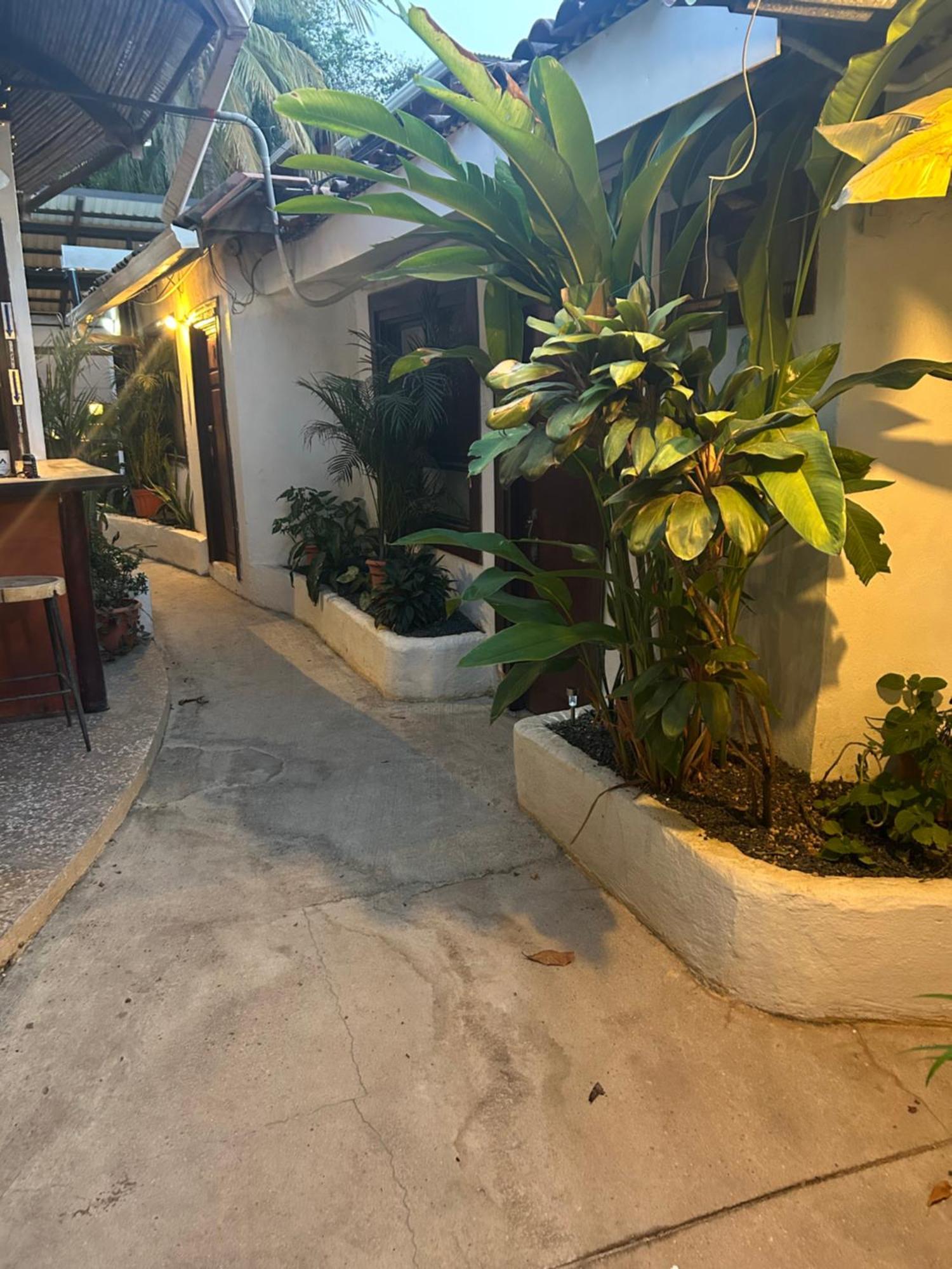 Pura Vida Hostel Тамариндо Екстериор снимка