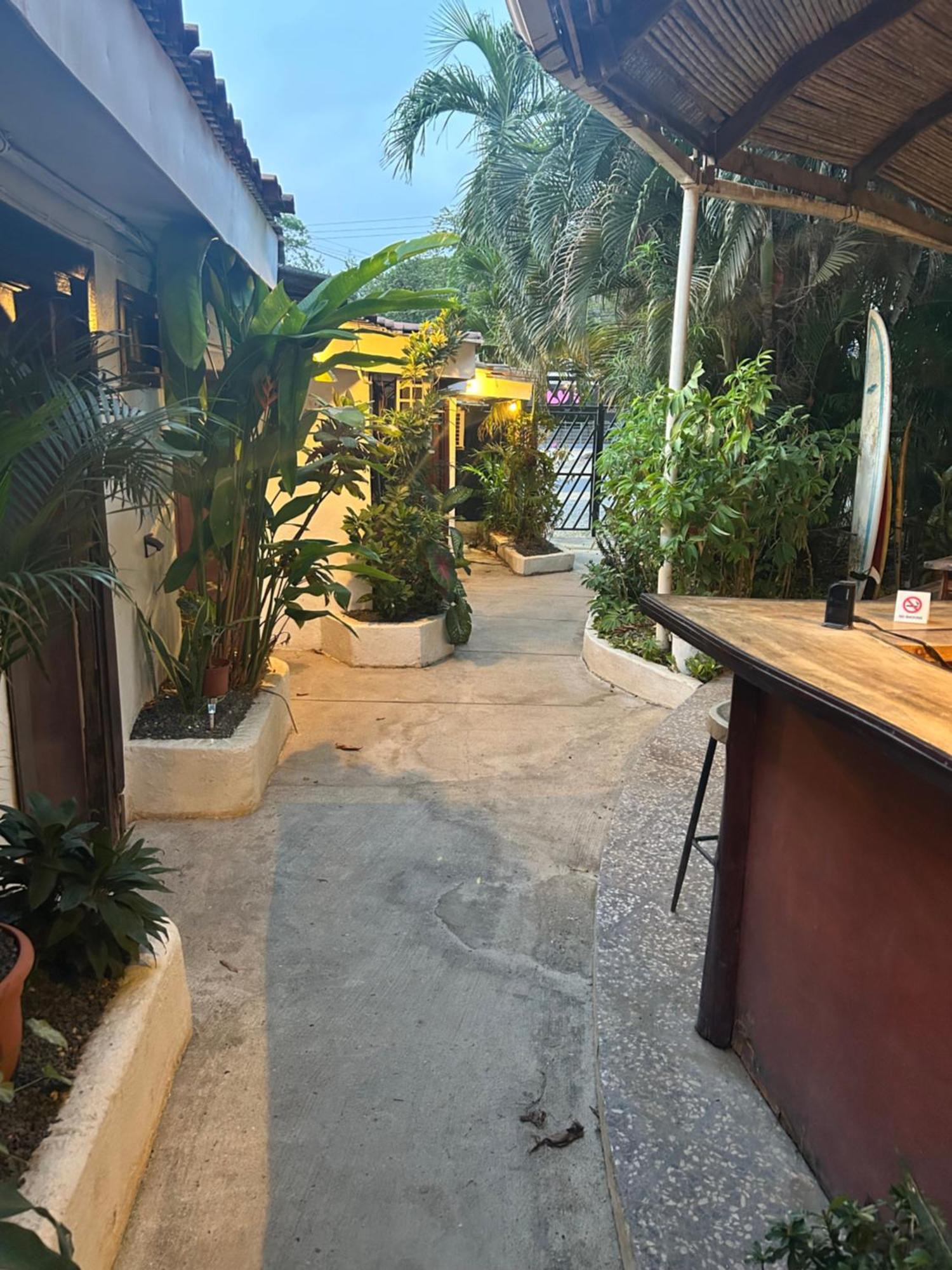 Pura Vida Hostel Тамариндо Екстериор снимка